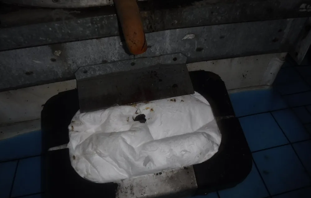 Grease Containment Sopper and Sopper Box System